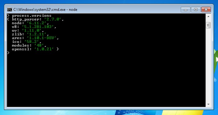 Node.js commando process.versions
