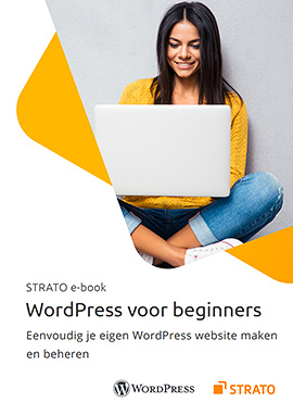 E-book: WordPress voor beginners