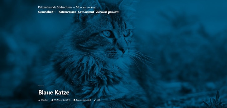 WordPress theme Twenty Nineteen 