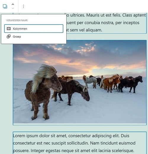 WordPress 5.6: Meerdere blokken snel tot kolommen omvormen