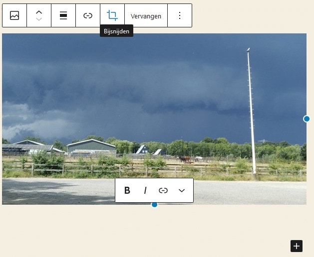 WordPress 5.5: foto's bijsnijden in de editor