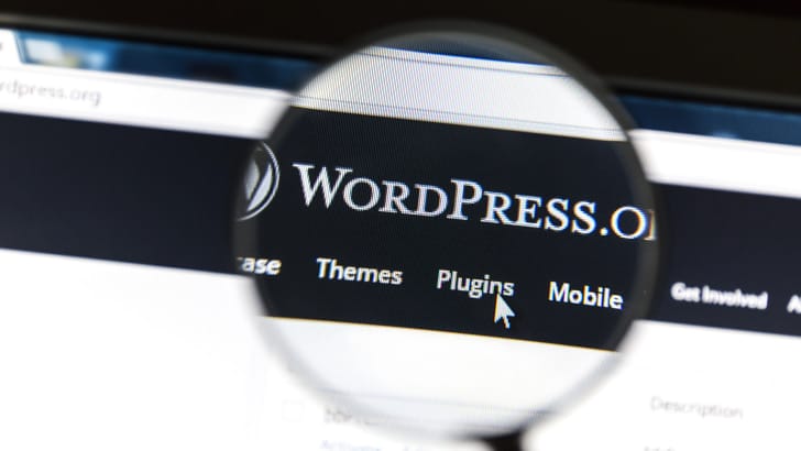 WordPress themes en plug-ins in het Nederlands vertalen