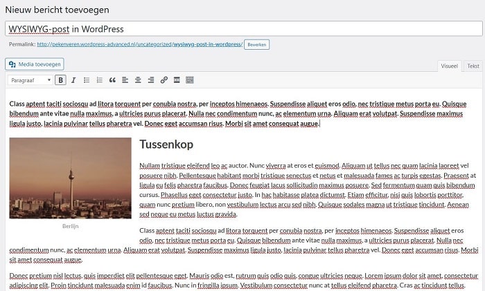 WordPress als WYSIWYG-editor