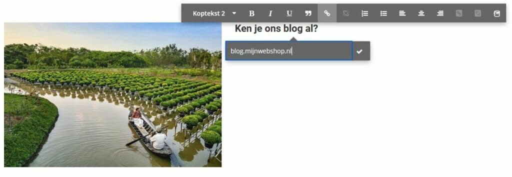 Zo link je van je webshop naar je blog