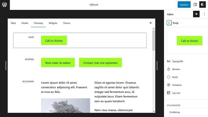 Stijlboek in WordPress 6.2 site-editor