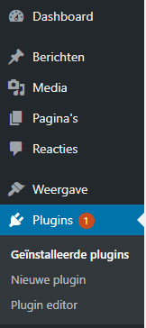 Veiligheidsplug-ins-1.png