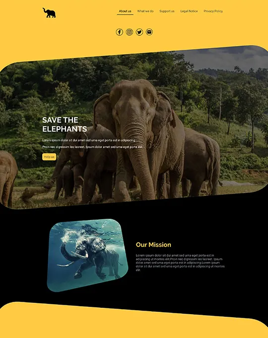 Preview: website van een NGO