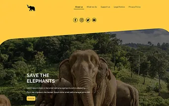 Preview: website van een NGO